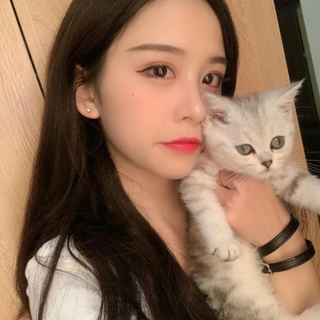 半岛官方APP入口手机app下载