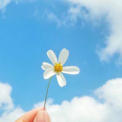 永盈会手机app下载