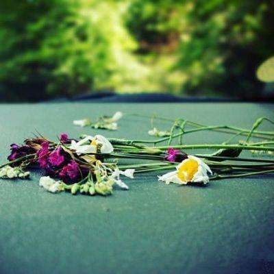 乐鱼娱乐app官网下载