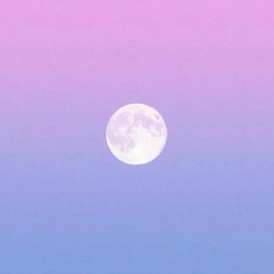 万博max体育官网手机版