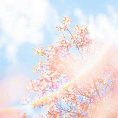 开元app下载手机版