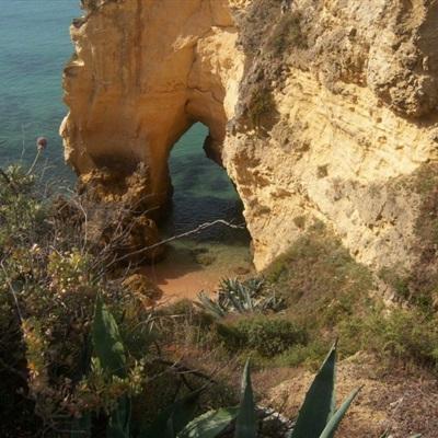 打鱼下载手机app下载